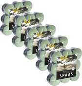 SPAAS Bougies chauffe-plat citronnelle - ± 4,5 heures de combustion - vert pistache - Garden d'Asie - 90 pièces
