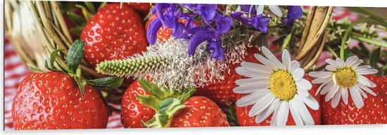 Dibond - Aardbeien met Verschillende Bloemen - 150x50 cm Foto op Aluminium (Wanddecoratie van metaal)