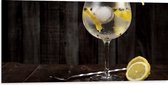 Dibond - Gin Tonic met Citroenschijfjes - 100x50 cm Foto op Aluminium (Met Ophangsysteem)
