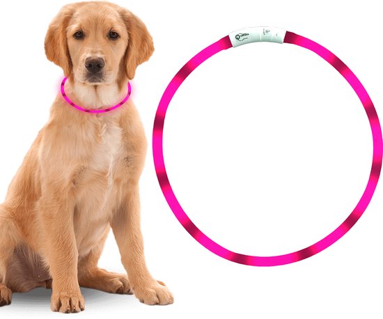 LED Halsband Hond - Lichtgevende Halsband Hond - Roze - 20-70 cm - USB Oplaadbaar