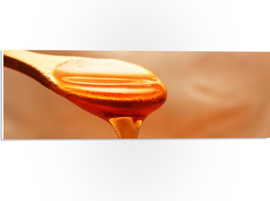 PVC Schuimplaat- Honing Duipend van Lepel af - 60x20 cm Foto op PVC Schuimplaat