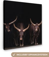 Canvas Schilderij Stieren - Dieren - Bruin - Donker - 90x90 cm - Wanddecoratie