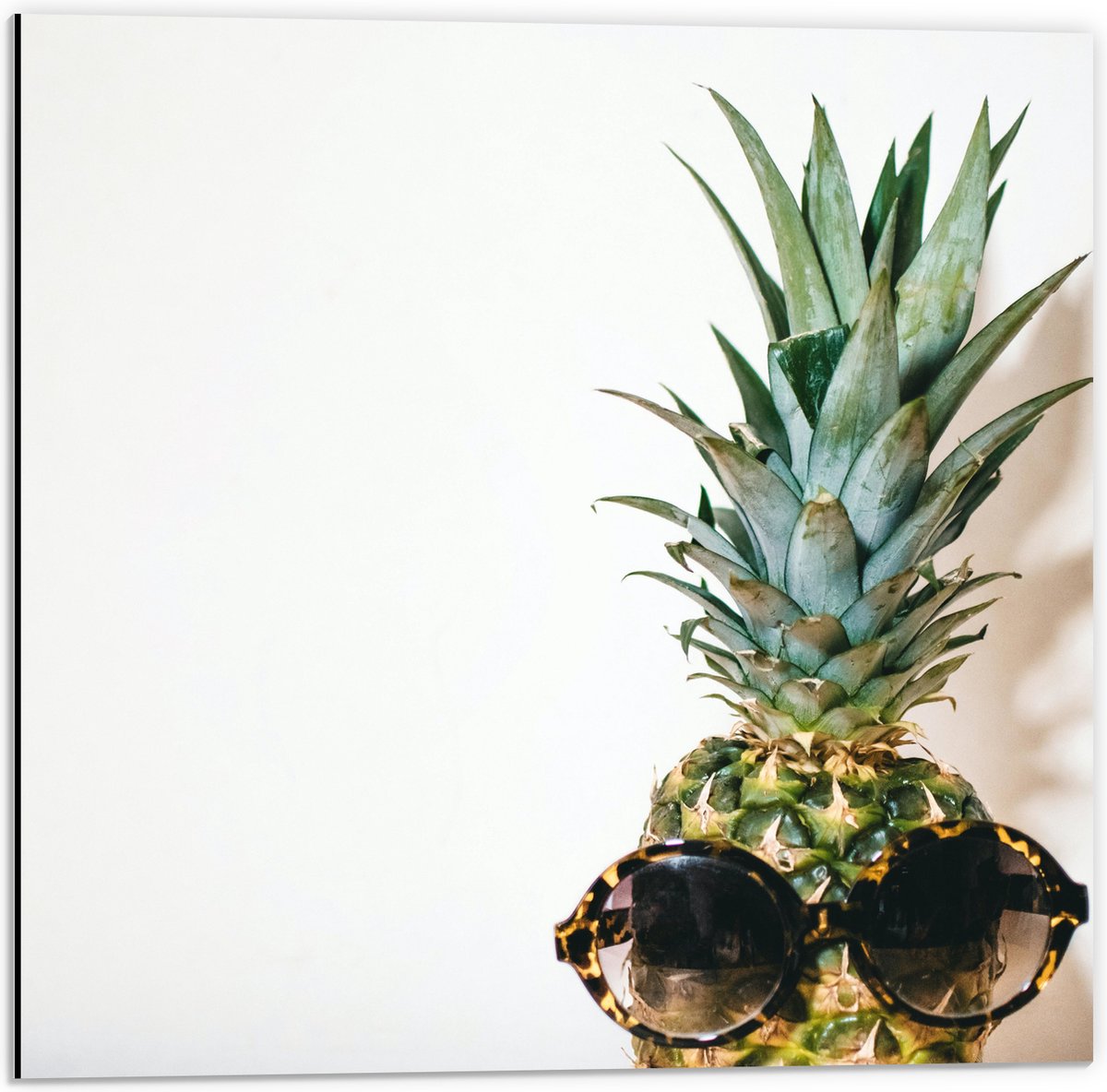 Dibond - Ananas met Zonnebril op - 50x50 cm Foto op Aluminium (Met Ophangsysteem)