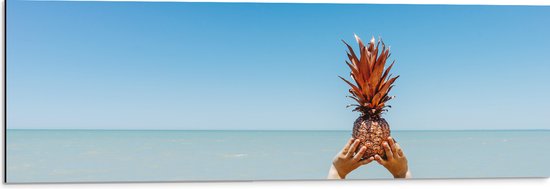 Dibond - Ananas in Handen bij het Water - 90x30 cm Foto op Aluminium (Wanddecoratie van metaal)