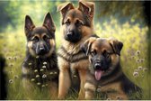 Wandbord Dieren Honden - Duitse Herder Pups