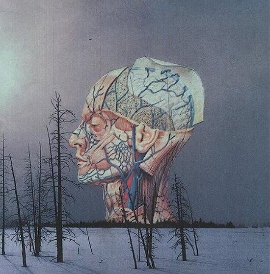 Low - Songs For A Dead Pilot (LP)