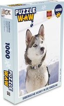 Puzzel Siberische husky in de sneeuw - Legpuzzel - Puzzel 1000 stukjes volwassenen