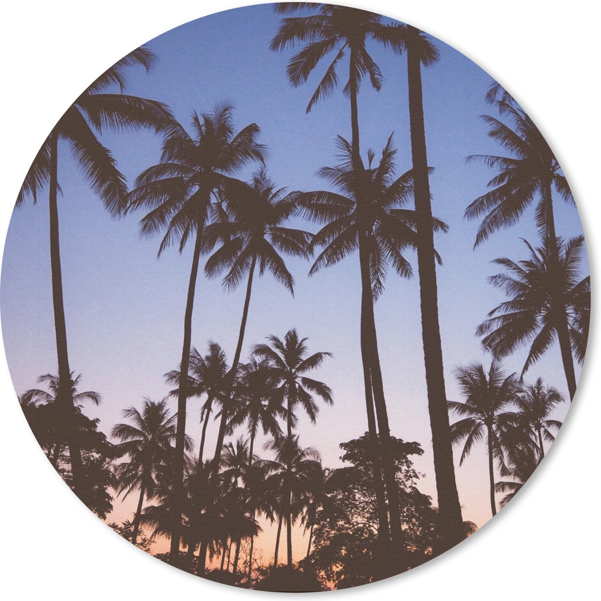 Muismat rond 30x30 cm - Mousepad Palmboom - Tropisch - Zomer - Lucht - Ronde muismatten