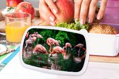 Broodtrommel Wit - Lunchbox - Brooddoos - Flamingo - Tropisch - Vogel - Water - Roze - 18x12x6 cm - Volwassenen
