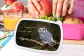 Lunch box Rose - Lunch box - Boîte à pain - Hibou - Vogel - Branches - Nature - 18x12x6 cm - Enfants - Fille