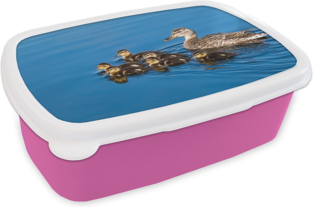 Broodtrommel Roze - Lunchbox - Brooddoos - Eend - Water - Vogel - Bruin - 18x12x6 cm - Kinderen - Meisje