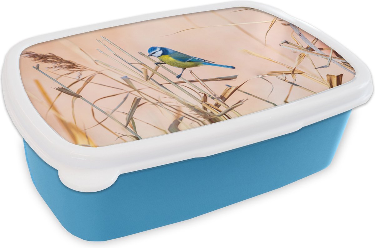 Broodtrommel Blauw - Lunchbox - Brooddoos - Vogel - Pimpelmees - Riet - 18x12x6 cm - Kinderen - Jongen