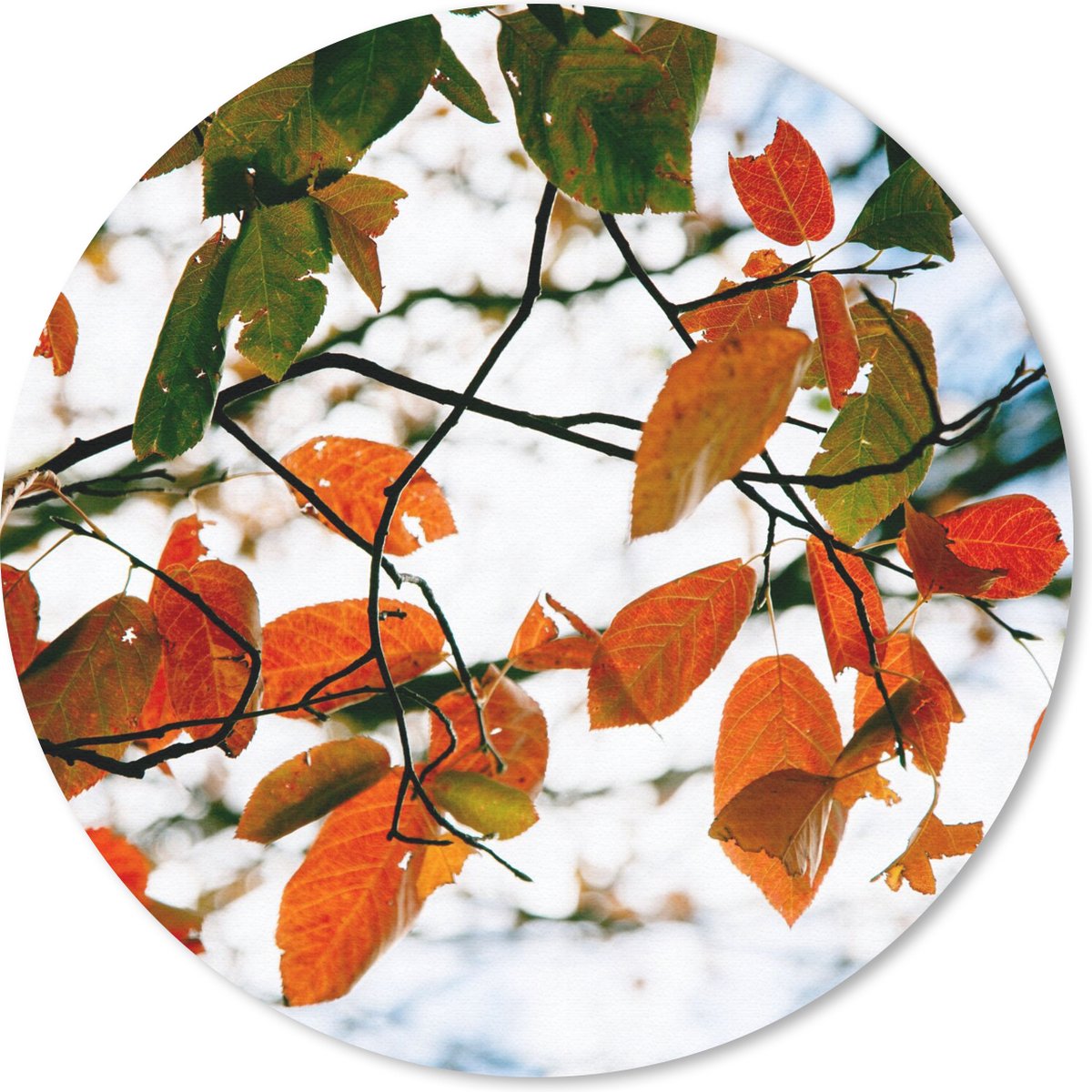 Muismat rond 20x20 cm - Mousepad Herfst - Bladeren - Landelijk - Seizoenen - Ronde muismatten