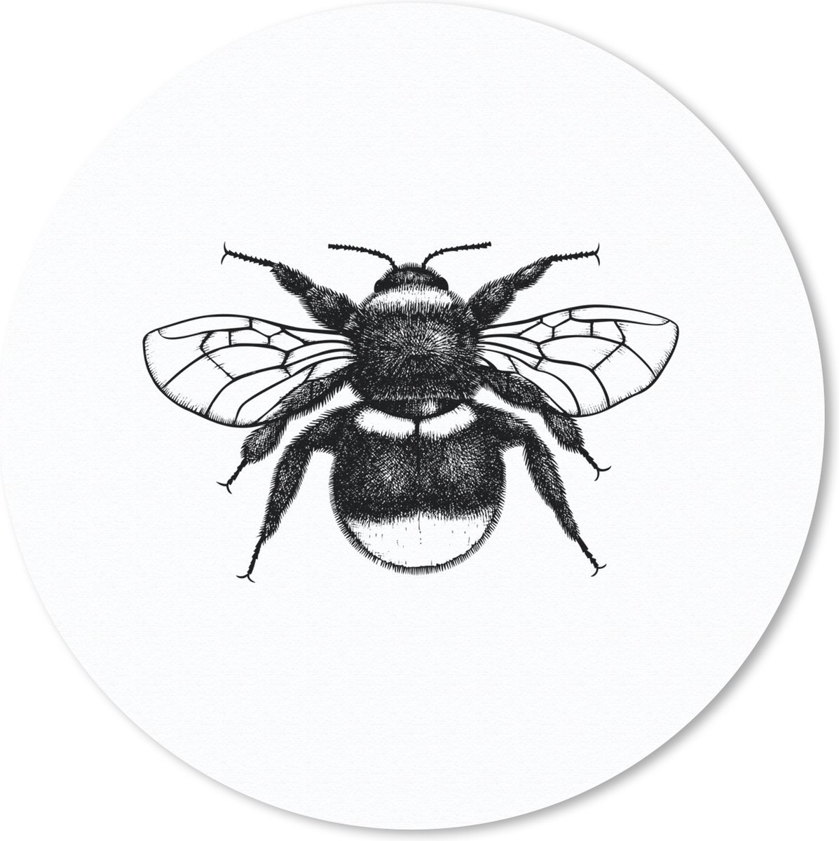 Muismat rond 50x50 cm - Mousepad Hommel - Botanisch - Retro - Insecten - Ronde muismatten