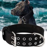 Buckle-Down Harley Quinn Katzenhalsband – Breakaway-Sicherheit, Offiziell Lizenziert Von DC Comics
