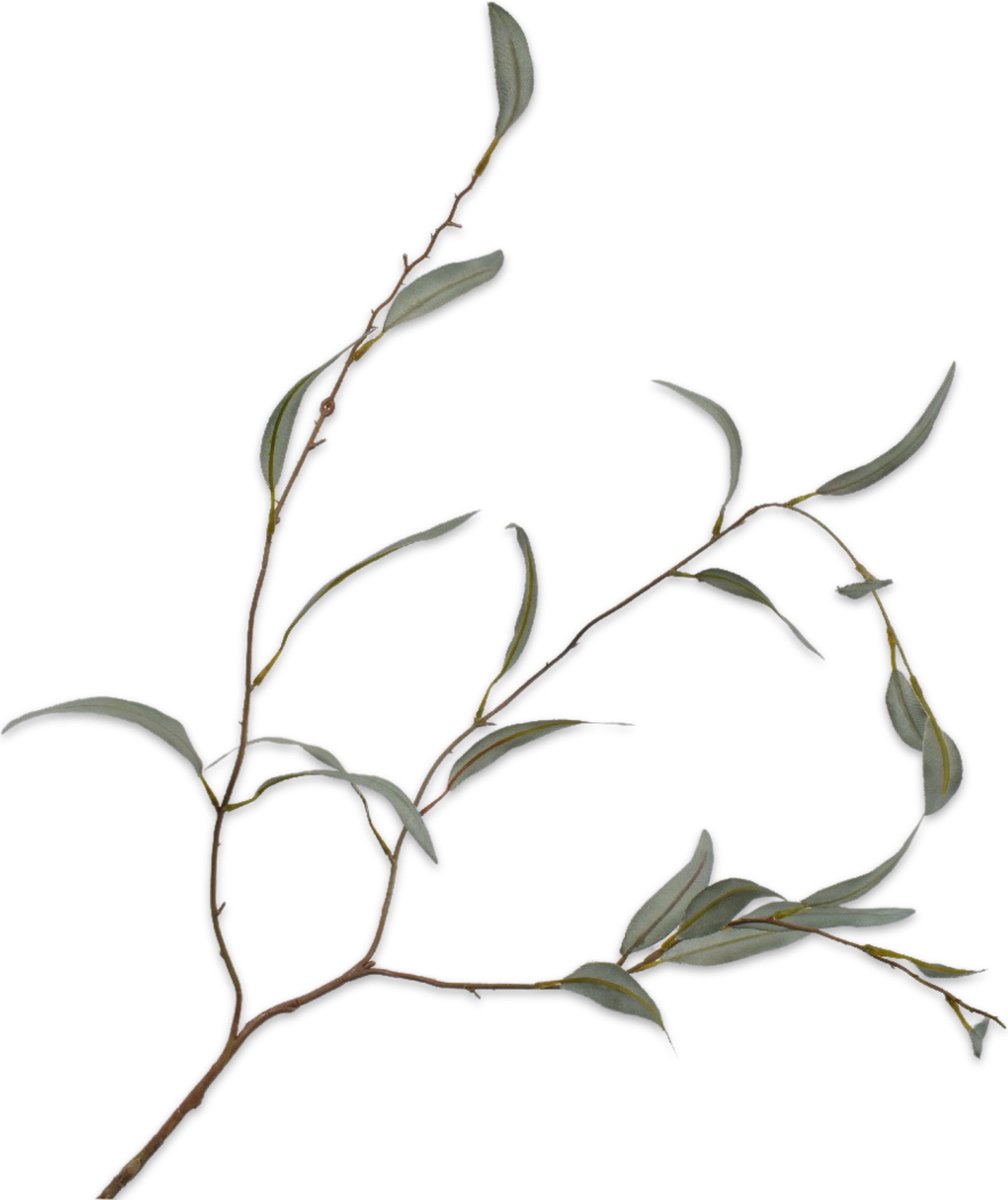 Silk-ka Kunstbloem-Kunsttak Eucalyptus Tak Groen 96 cm Voordeelaanbod Per 2 Stuks