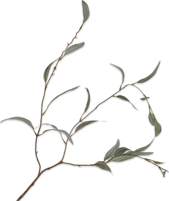 Silk-ka Kunstbloem-Kunsttak Eucalyptus Tak Groen 96 cm Voordeelaanbod Per 2 Stuks