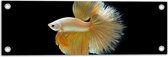 Tuinposter – Zijaanzicht van Goud- Gele Vis met Sierlijke Vinnen - 60x20 cm Foto op Tuinposter (wanddecoratie voor buiten en binnen)