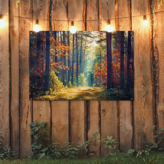 Affiche jardin - Toile jardin - Affiches jardin extérieur - Forêt - Soleil - Nature - Automne - Posters de jardin cm - Jardin