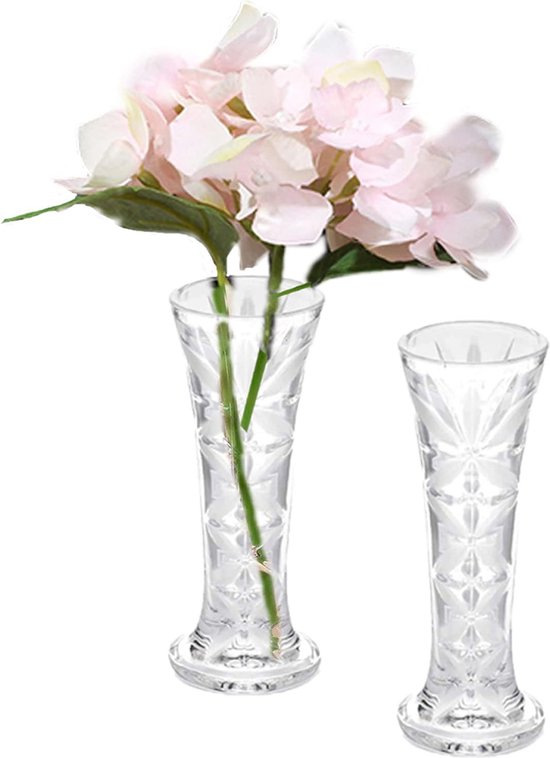 Vase en plastique transparent, 2 pièces, rose individuelle moderne, petits  vases,... | bol
