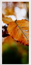 Deursticker Beuk - Herfst - Bladeren - 90x235 cm - Deurposter