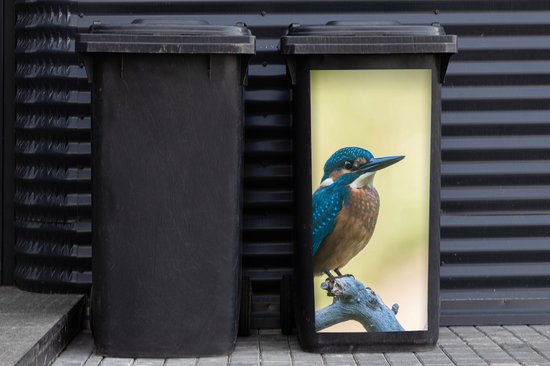 Container sticker IJsvogel - Tak - Vogel - 44x98 cm - Kliko sticker