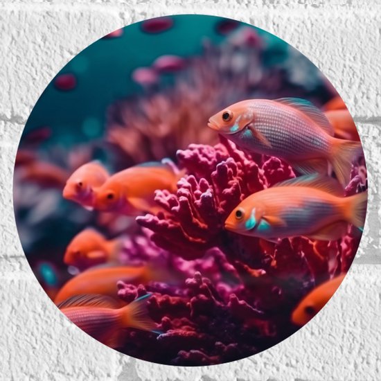 Muursticker Cirkel - Groep oranje vissen zwemmen door een roze koraal heen - 20x20 cm Foto op Muursticker