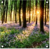 Tuinposters Bos - Bloemen - Lavendel - Zon - Paars - Natuur - 50x50 cm - Tuindoek - Buitenposter