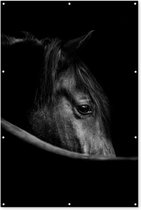 Muurdecoratie Paarden - Portret - Zwart - Dieren - 120x180 cm - Tuinposter - Tuindoek - Buitenposter