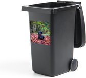 Container sticker Zwarte Labrador Retriever die tussen mooie herfstbladeren ligt - 40x40 cm - Kliko sticker