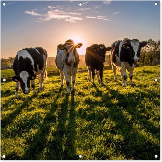 Tuindoek Koeien - Zon - Gras - Dieren - Boerderij - 100x100 cm