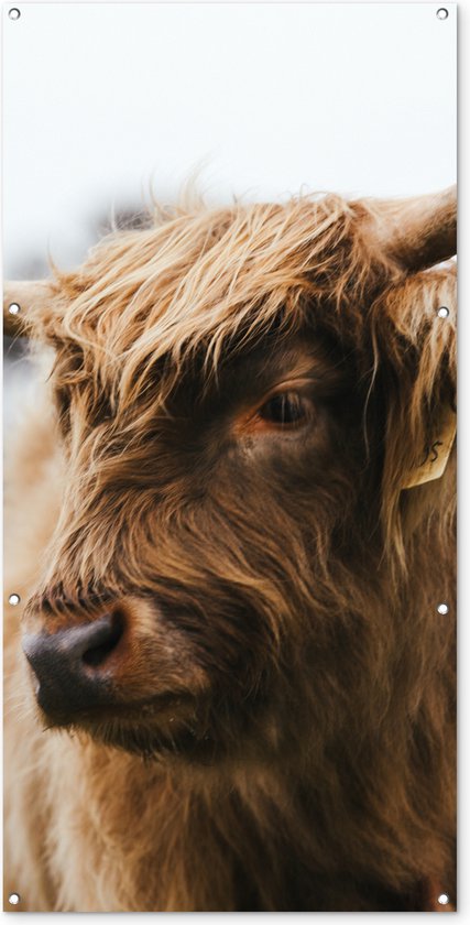 Décoration murale murale d'extérieur Scottish Highlander - Animaux - Cornes - 80x160 cm - Toile de jardin