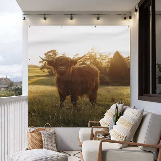 Tuinposter 200x200 cm - Tuindecoratie Schotse hooglander - Gras - Zon - Poster voor in de tuin - Buiten decoratie - Schutting tuinschilderij - Tuindoek muurdecoratie - Wanddecoratie balkondoek