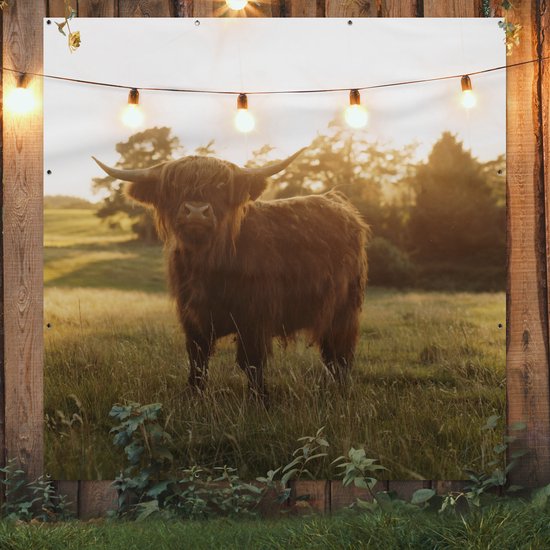 Tuinposter 200x200 cm - Tuindecoratie Schotse hooglander - Gras - Zon - Poster voor in de tuin - Buiten decoratie - Schutting tuinschilderij - Tuindoek muurdecoratie - Wanddecoratie balkondoek