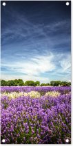 Tuinposter Blauwe lucht boven lavendel in de natuur - 40x80 cm - Wanddecoratie Buiten - Tuinposter - Tuindoek - Schuttingposter - Tuinschilderij