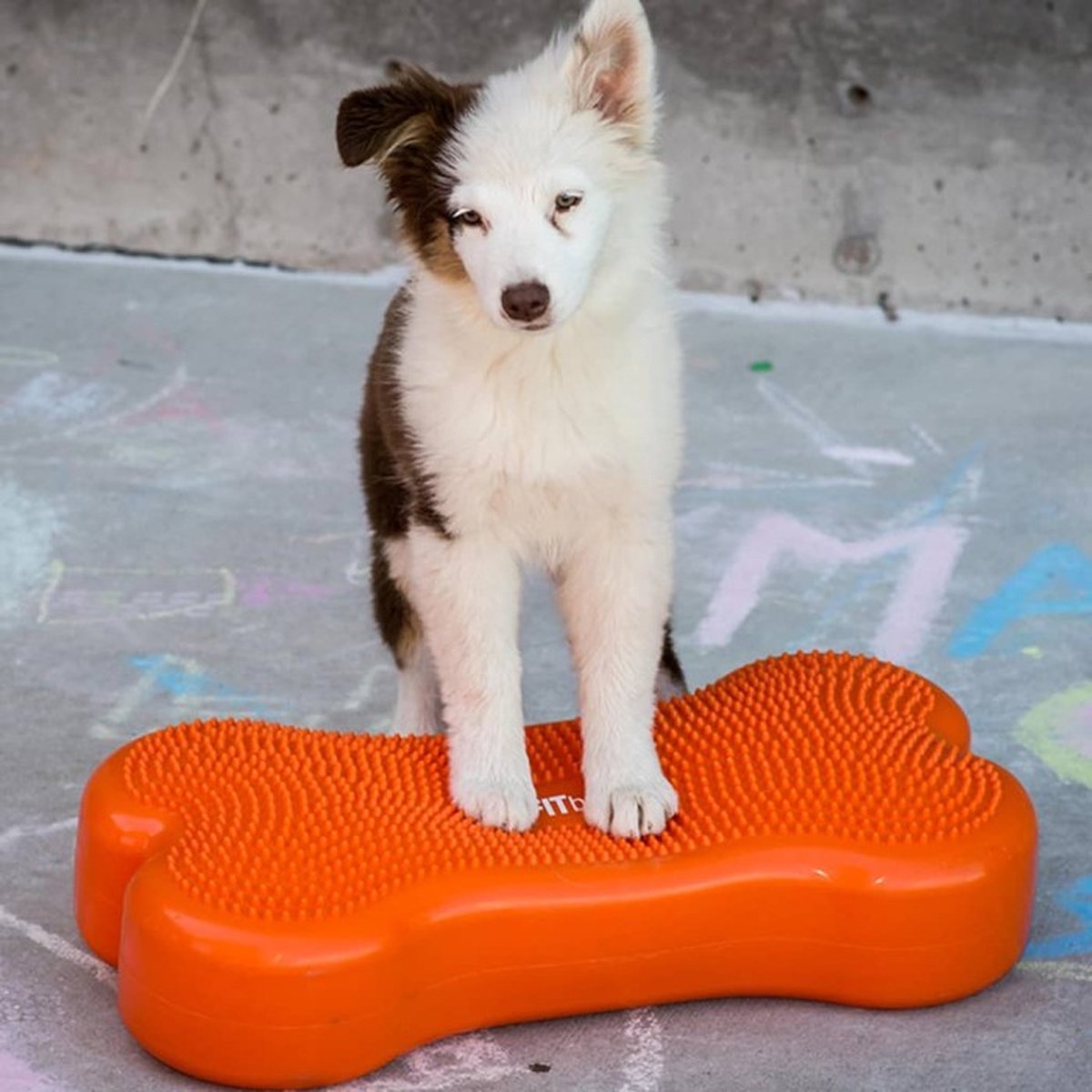 Fitpaws K9fitbone – Balansspeelgoed – Pvc – Oranje – 58x29x10cm