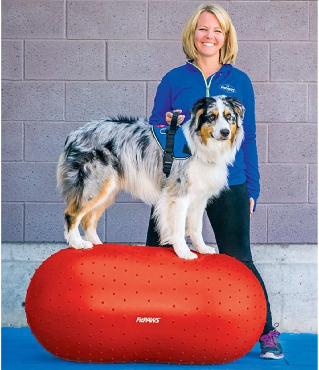 FitPAWS - Dierenbalansplatform - Trax - Peanut - 50 - cm - rood