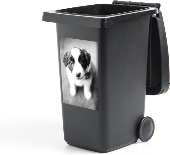 Container sticker Border collie puppy met onschuldige ogen - zwart wit - 40x60 cm - Kliko sticker