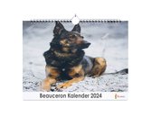 Huurdies - Beauceron Kalender - Jaarkalender 2024 - 35x24 - 300gms
