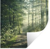 Stickers muraux - Film autocollant - Forêt - Chemin - Soleil - Arbres - Vert - Nature - 120x120 cm - Film adhésif - Stickers muraux Chambre d'enfant - Papier peint autocollant XXL