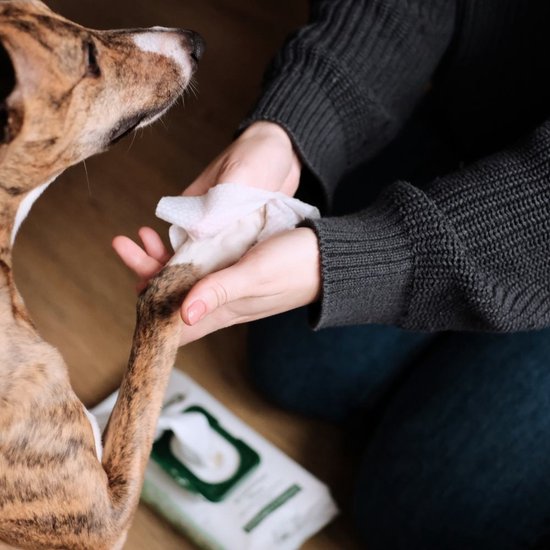 Beco Bamboe Hondendoekjes - Plastic Vrij Thuis Composteerbaar, 80