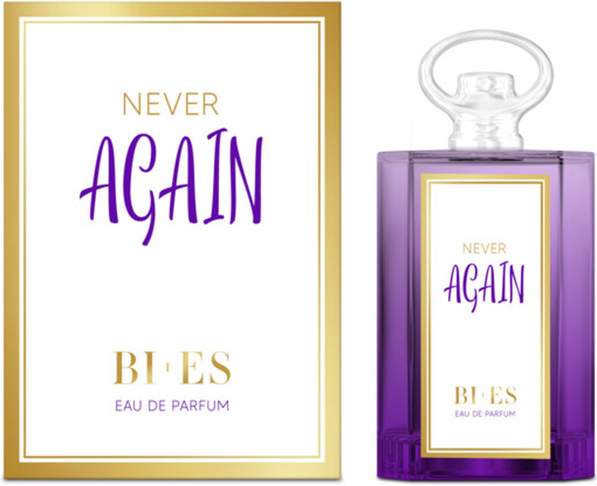 Bi-Es Never Again Eau de Parfum 100 ml