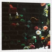 Muursticker - Zee - Onderwaterleven - Koraal - Bloemdieren - 80x80 cm Foto op Muursticker
