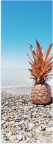 Poster (Mat) - Zee - Eten - Annanas - Stenen - Water - 50x150 cm Foto op Posterpapier met een Matte look