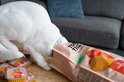 Witte kitten duikt in een zak Tommie The Cat kattenvoer. Op tafel staan stapels bakjes met natvoer.