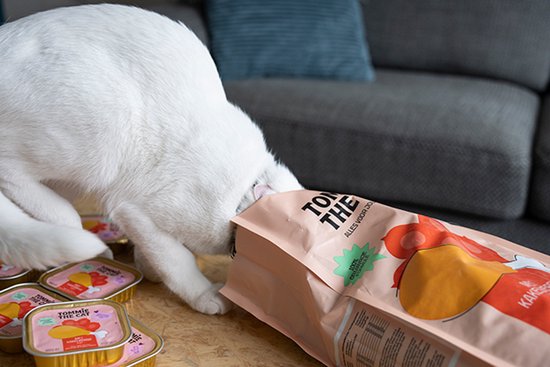 Witte kitten duikt in een zak Tommie The Cat kattenvoer. Op tafel staan stapels bakjes met natvoer.
