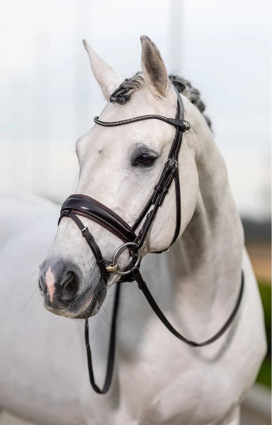 Bride De Dressage LeMieux Arika, Neuve Sous Emballage