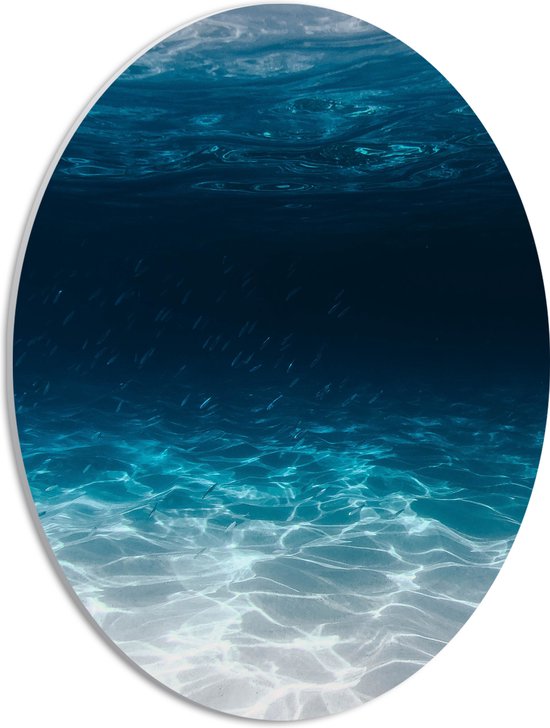 PVC Schuimplaat Ovaal - Zee - Oceaan - Onderwater - Onderwaterleven - Schol - Vissen - Dieren - 30x40 cm Foto op Ovaal (Met Ophangsysteem)