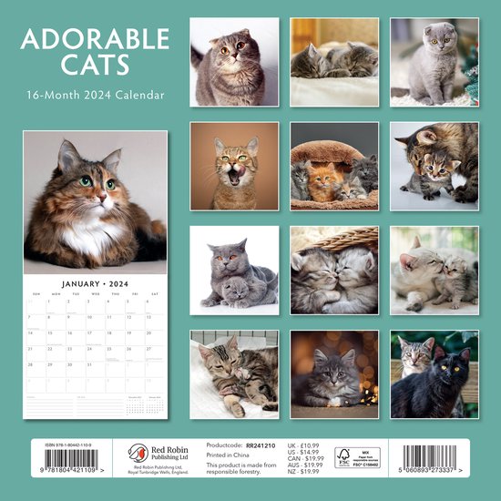 Adorable Cats Kalender 2024