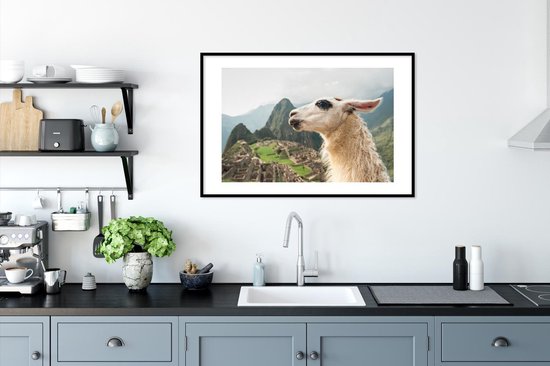 Photo dans le cadre - Lama Witte avec des taches noires Cadre photo noir avec passe partout blanc 60x90 90x60 cm - Affiche dans le cadre (Décoration murale salon / chambre)